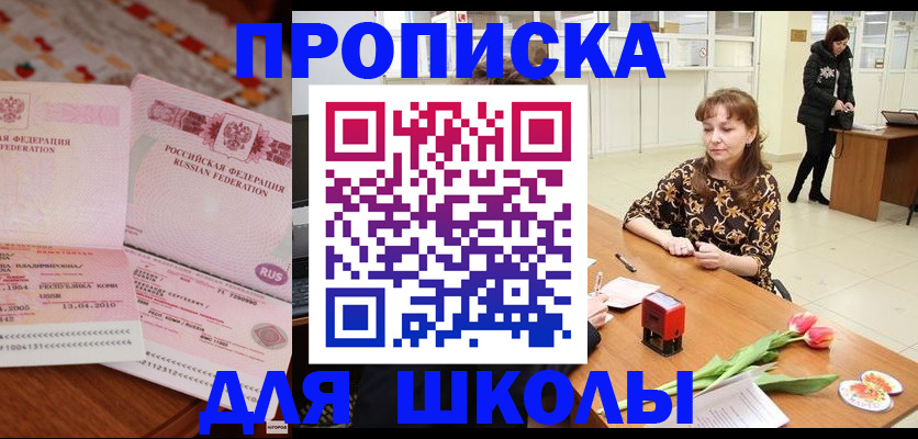 форма 3 в Сольцах